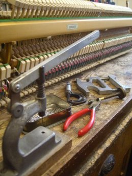 Action reconditioning in Carstairs Pianos workshop.