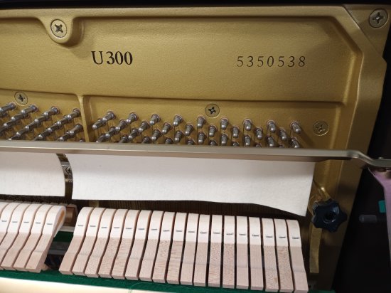 Yamaha U300 serial number